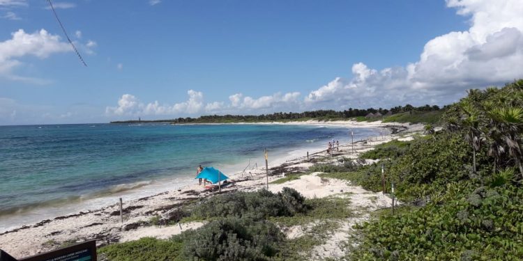 REALIZAN LIMPIEZA DE PLAYAS EN XCACEL- XCACELITO