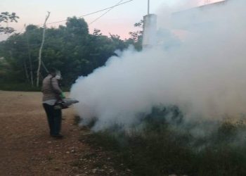 CONTINÚAN TRABAJOS CONTRA EL DENGUE EN ISLA MUJERES