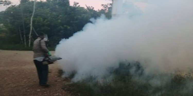 CONTINÚAN TRABAJOS CONTRA EL DENGUE EN ISLA MUJERES