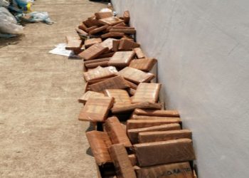 Aduanas decomisa 627 kg de cocaína en pacas de plástico reciclado en Chiapas; suma 2.6 toneladas en seis meses