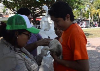 INVITA AYUNTAMIENTO A VACUNAR A SUS MASCOTAS EN 1ERA. JORNADA DE VACUNACIÓN ANTIRRÁBICA CANINA Y FELINA 2020