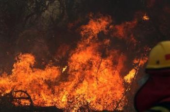 BRASIL TAMBIÉN PADECE DE INCENDIOS INÉDITOS EN 2020
