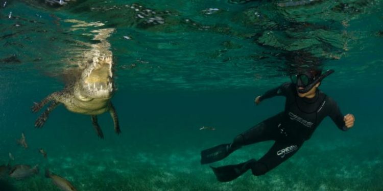 BUCEO LIBRE EN CENOTES, OPORTUNIDAD PARA EL TURISMO DEPORTIVO