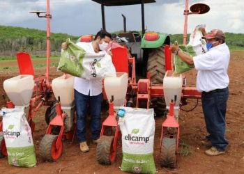 CAMPO YUCATECO REGISTRA IMPORTANTE CRECIMIENTO, A PESAR DE LA COMPLICADA SITUACIÓN ACTUAL