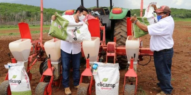 CAMPO YUCATECO REGISTRA IMPORTANTE CRECIMIENTO, A PESAR DE LA COMPLICADA SITUACIÓN ACTUAL