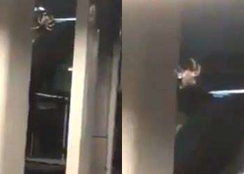 CAPTAN UNA “ARAÑA GIGANTE” COLUMPIÁNDOSE EN EL METRO CONSTITUCIÓN: VIDEO