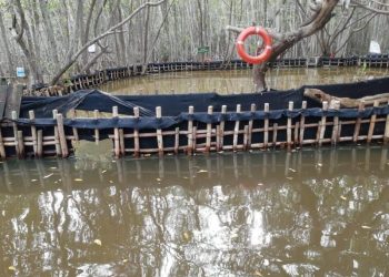 CRECIENTE CAUSA CIERRE TEMPORAL DE «EL CORCHITO», PERO SE PUEDE DAR UN PASEO EN LANCHA