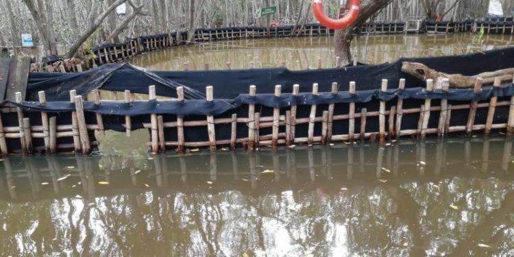 CRECIENTE CAUSA CIERRE TEMPORAL DE «EL CORCHITO», PERO SE PUEDE DAR UN PASEO EN LANCHA