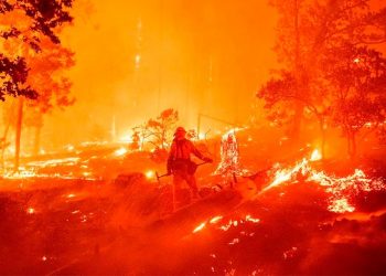 DEBIDO A INCENDIOS, CORTAN ENERGÍA A MILES EN CALIFORNIA