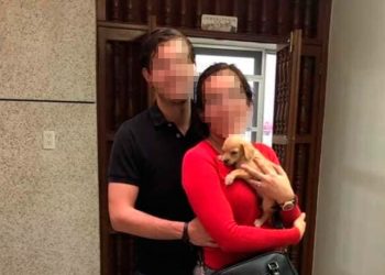 DENUNCIAN EN REDES SOCIALES A PAREJA QUE ADOPTARÍA PERRITOS PARA ALIMENTAR A SUS SERPIENTES