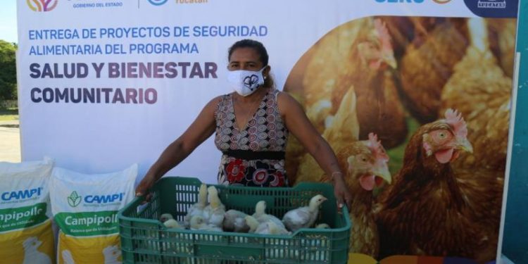 DIF YUCATÁN CONTRIBUYE A LA SEGURIDAD ALIMENTARIA Y A REACTIVAR LA ECONOMÍA FAMILIAR