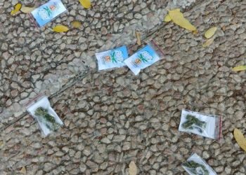 DRON LANZA CIENTOS DE BOLSAS DE MARIHUANA SOBRE TEL AVIV