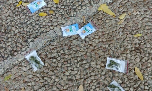 DRON LANZA CIENTOS DE BOLSAS DE MARIHUANA SOBRE TEL AVIV