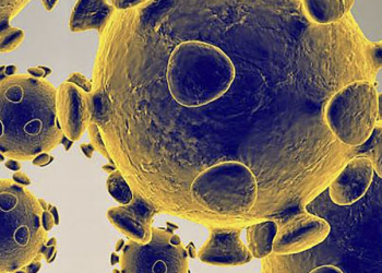 EL CORONAVIRUS COBRA MÁS DE 900 MIL VIDAS EN EL MUNDO