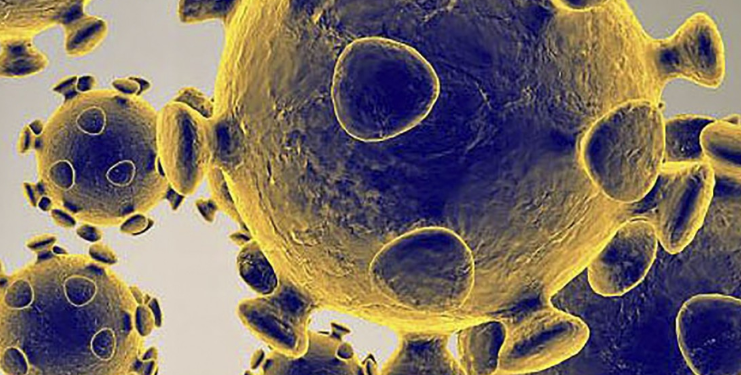 EL CORONAVIRUS COBRA MÁS DE 900 MIL VIDAS EN EL MUNDO