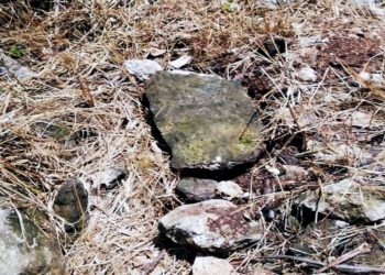 ENCUENTRAN VESTIGIOS ARQUEOLÓGICOS EN OBRAS DEL TREN MAYA