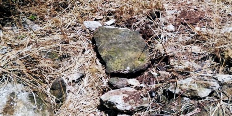 ENCUENTRAN VESTIGIOS ARQUEOLÓGICOS EN OBRAS DEL TREN MAYA