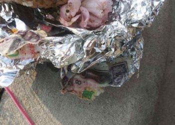 FOTO: HOMBRE ENCUENTRA UN CEREBRO ENVUELTO EN PAPEL ALUMINIO