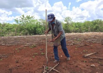 GOBIERNO DEL ESTADO IMPULSA RESCATE DE LA MILPA MAYA