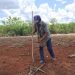 GOBIERNO DEL ESTADO IMPULSA RESCATE DE LA MILPA MAYA