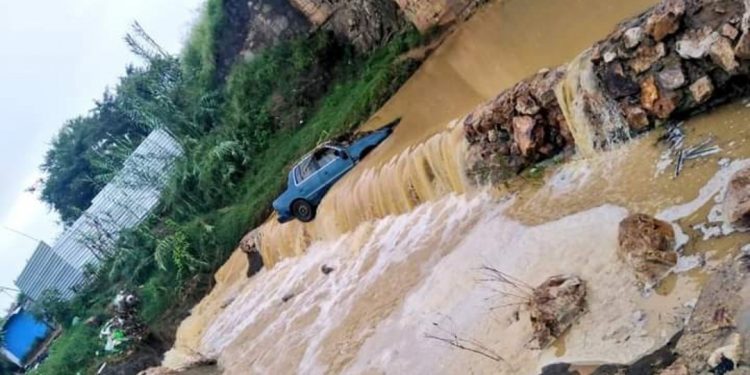 INTENSA LLUVIA EN OAXACA PROVOCA CAÍDA DE ÁRBOL EN ZÓCALO Y VEHÍCULOS ARRASTRADOS