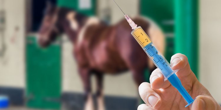 MÉXICO DESARROLLA TRATAMIENTO QUE PODRÍA CURAR COVID-19 EN 48 HORAS CON SUERO DE CABALLO