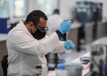 UNIVERSIDAD AUTÓNOMA DE QUERÉTARO ALISTA PRUEBAS EN ANIMALES DE SU VACUNA CONTRA COVID-19