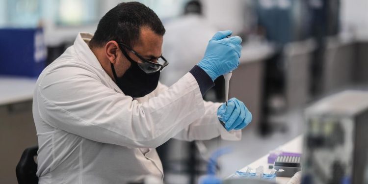 UNIVERSIDAD AUTÓNOMA DE QUERÉTARO ALISTA PRUEBAS EN ANIMALES DE SU VACUNA CONTRA COVID-19