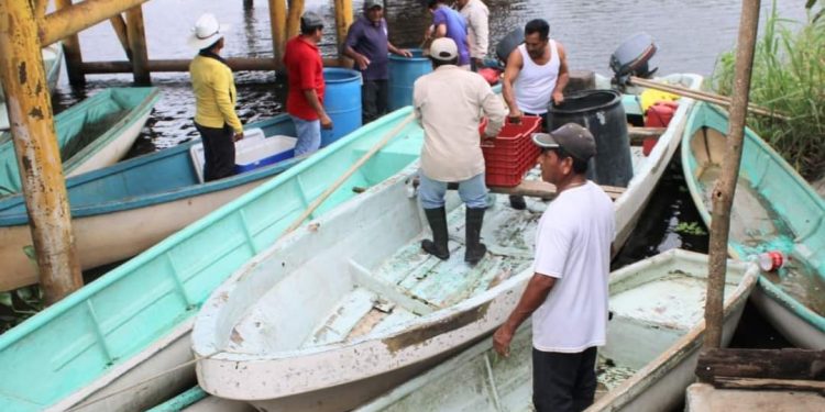 SIEMBRAN 152 MIL CRÍAS DE TILAPIA EN LAGUNAS DE NACAJUCA