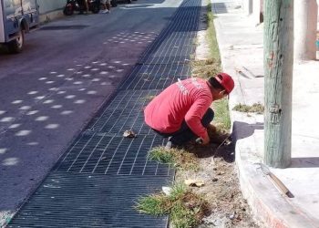 MANTIENEN ÁREAS VERDES EN ÓPTIMAS CONDICIONES EN ISLA MUJERES
