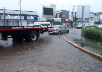 ÁRBOLES CAÍDOS, CALLES INUNDADAS Y AFECTACIONES A SERVICIOS DEJA «GAMMA»