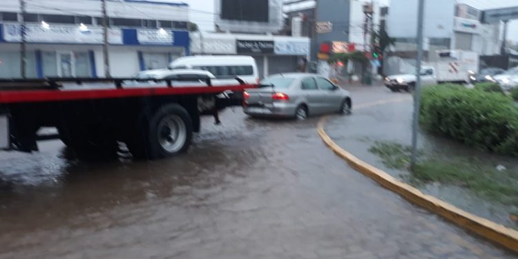 ÁRBOLES CAÍDOS, CALLES INUNDADAS Y AFECTACIONES A SERVICIOS DEJA «GAMMA»