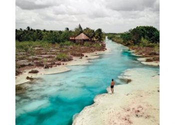 OPB Y BACALAR UNEN ESFUERZOS PARA PROTECCIÓN DE ESTROMATOLITOS