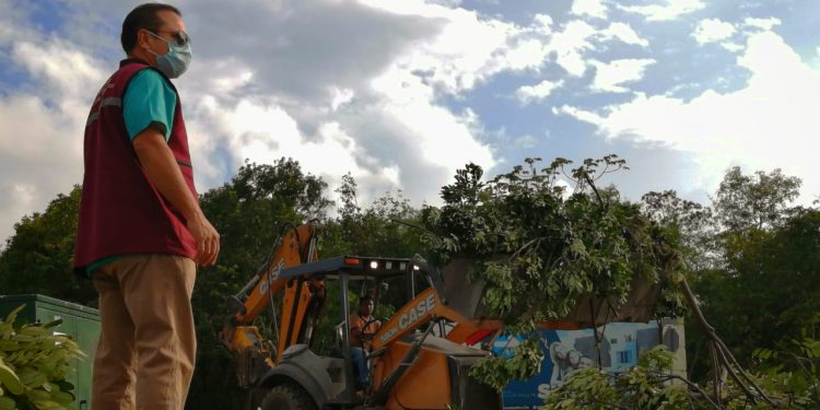 MANTIENEN BRIGADAS LABORES DE RETIRO Y PODA DE RAMAS EN SOLIDARIDAD