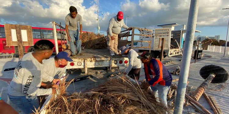 HURACÁN DELTA DAÑÓ SOBRE TODO LAS TORRES SALVAVIDAS EN PLAYAS DE CANCÚN: ZOFEMAT