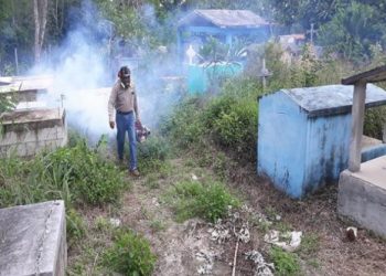 LA SESA FORTALECE SUS PREVENCIONES PARA DISMINUIR LOS RIESGOS DE TRANSMISIÓN DEL DENGUE, ZIKA Y CHIKUNGUNYA