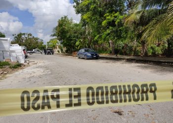 PERROS ENCUENTRAN EXTREMIDADES HUMANAS EN LA BASURA