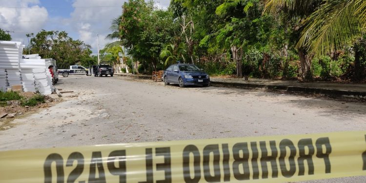 PERROS ENCUENTRAN EXTREMIDADES HUMANAS EN LA BASURA