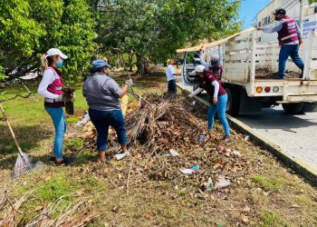 REALIZAN JORNADA DE DESCACHARRIZACIÓN EN LA SM. 260