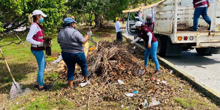 REALIZAN JORNADA DE DESCACHARRIZACIÓN EN LA SM. 260