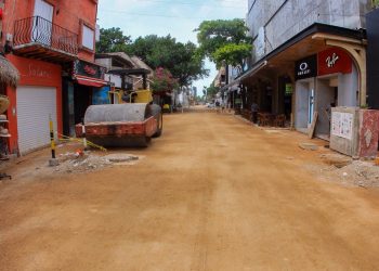 GOBIERNO DE SOLIDARIDAD REAPERTURA TEMPORALMENTE LA DÉCIMA AVENIDA