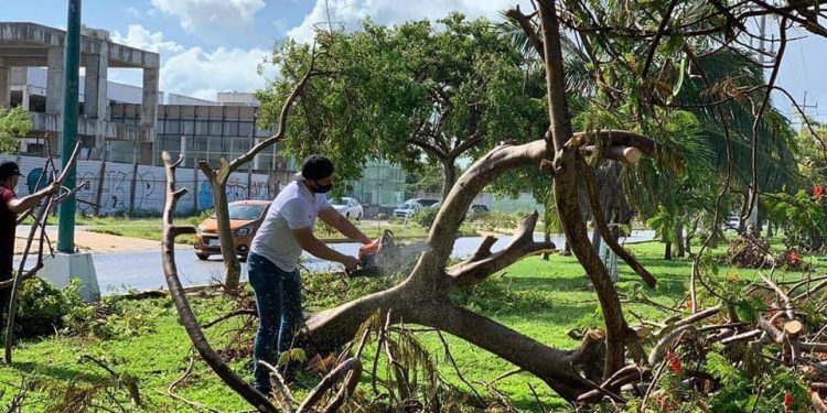 DECLARATORIA DE EMERGENCIA PARA ZONA NORTE