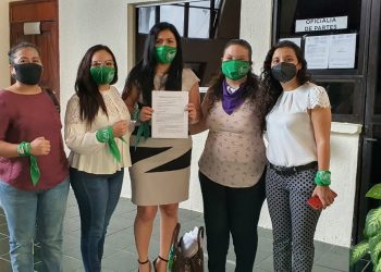 ORGANIZACIONES FEMINISTAS, COLECTIVAS Y ORGANIZACIONES CIVILES SE PRONUNCIAN EN CONTRA DEL PIN PARENTAL