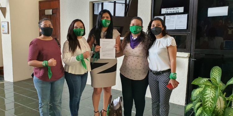 ORGANIZACIONES FEMINISTAS, COLECTIVAS Y ORGANIZACIONES CIVILES SE PRONUNCIAN EN CONTRA DEL PIN PARENTAL