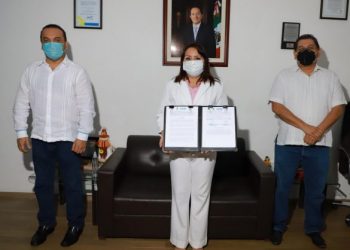 ACCIONES PARA LA MEJORA Y EL DESARROLLO ECONÓMICO DE LA ZONA SUR DEL ESTADO