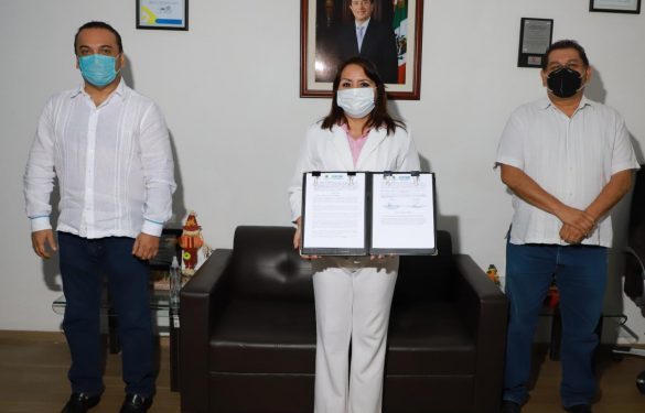 ACCIONES PARA LA MEJORA Y EL DESARROLLO ECONÓMICO DE LA ZONA SUR DEL ESTADO