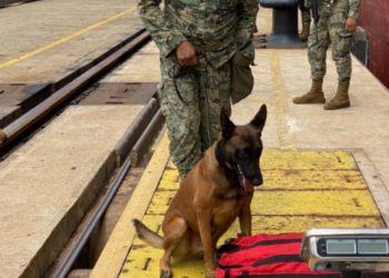 ADUANAS Y SECRETARÍA DE MARINA-ARMADA DE MÉXICO DECOMISAN 37 KG DE COCAÍNA EN LA ADUANA DE LÁZARO CÁRDENAS PROCEDENTE DE COLOMBIA