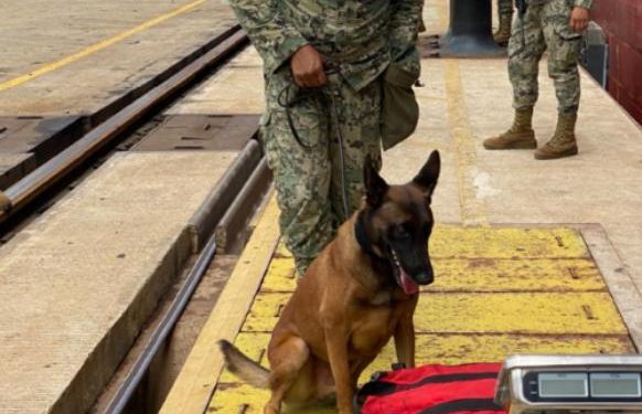 ADUANAS Y SECRETARÍA DE MARINA-ARMADA DE MÉXICO DECOMISAN 37 KG DE COCAÍNA EN LA ADUANA DE LÁZARO CÁRDENAS PROCEDENTE DE COLOMBIA