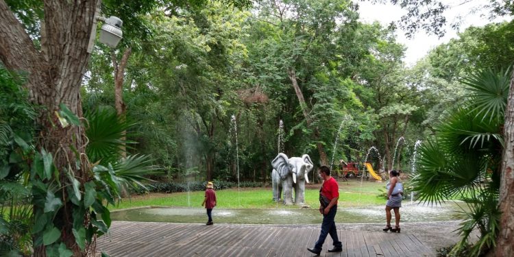 REABRE SUS PUERTAS AL PÚBLICO EL PARQUE ZOOLÓGICO PAYO OBISPO