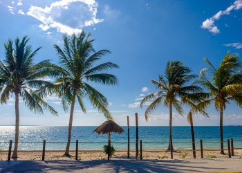 IMPULSA GOBIERNO DE BJ PROTECCIÓN DE LA NATURALEZA